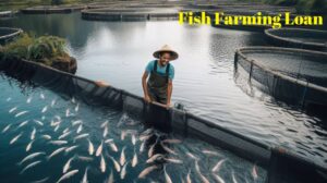 fish farming loan